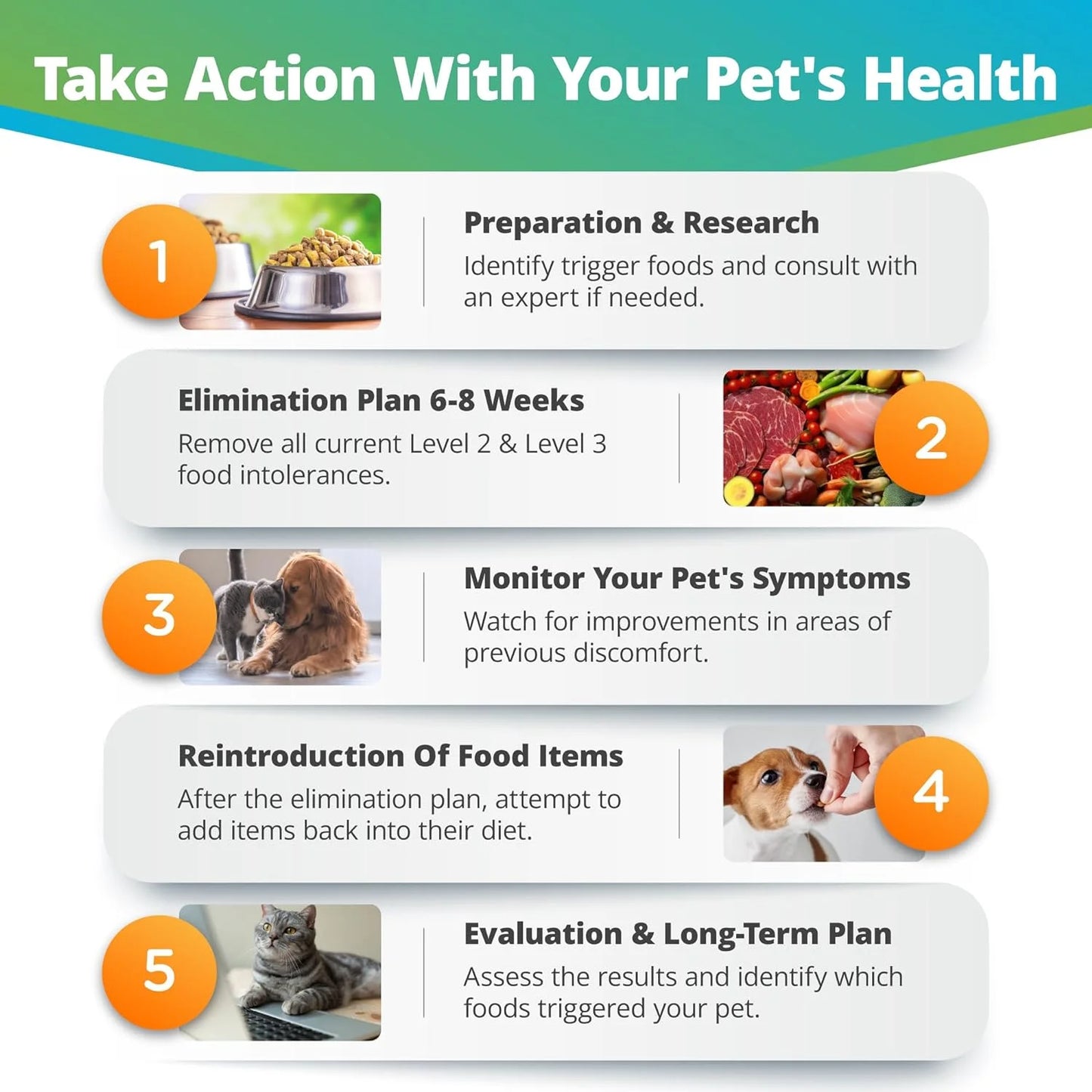 Pet Food Intolerance Test, at Home Sensitivity Test for Dogs & Cats, 289 Items, Hair Analysis, Accurate for All Ages and Breed, Results in 5 Days - Protein, Grain, Preservatives