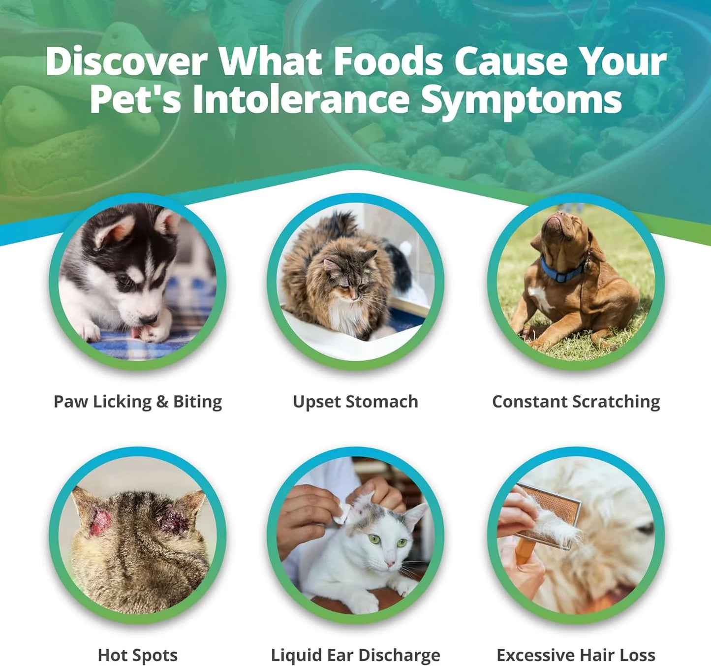 Pet Food Intolerance Test, at Home Sensitivity Test for Dogs & Cats, 289 Items, Hair Analysis, Accurate for All Ages and Breed, Results in 5 Days - Protein, Grain, Preservatives
