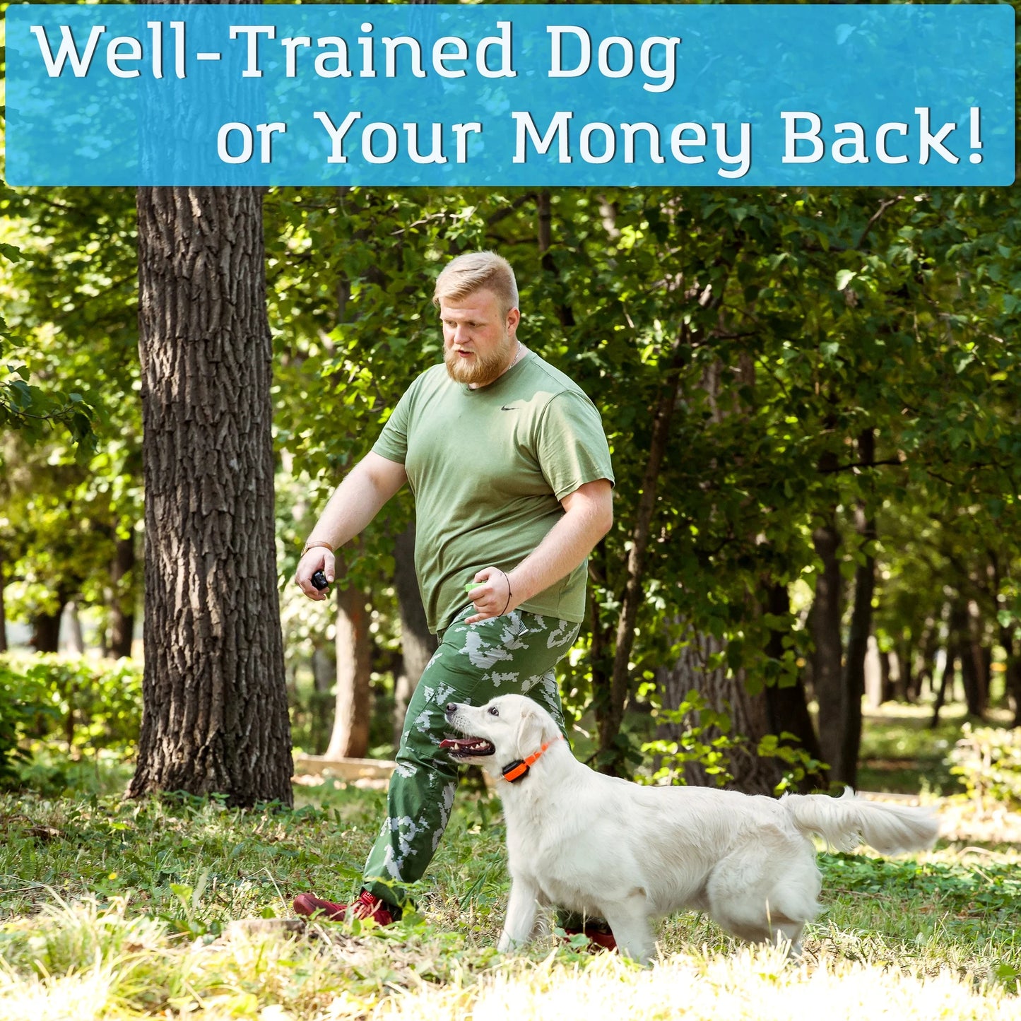 Dual Dog Training Shock Collar for 2 Dogs with Beep, Vibration and Electric Shocking, Rechargeable and Waterproof E-Collar Remote Trainer