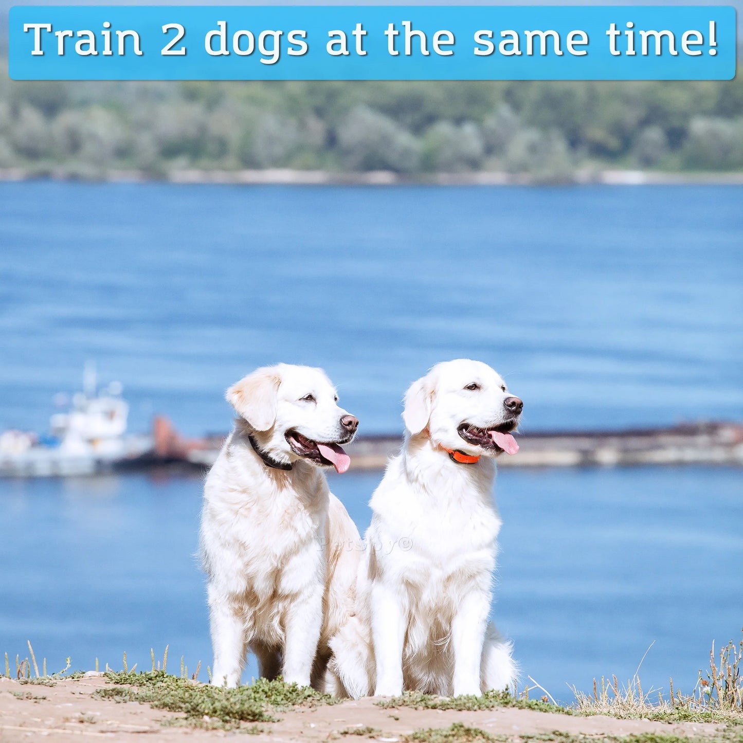 Dual Dog Training Shock Collar for 2 Dogs with Beep, Vibration and Electric Shocking, Rechargeable and Waterproof E-Collar Remote Trainer