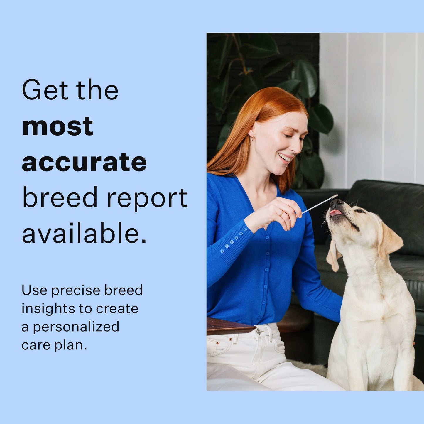 Breed Discovery, Breed Identification, Dog DNA Test Kit