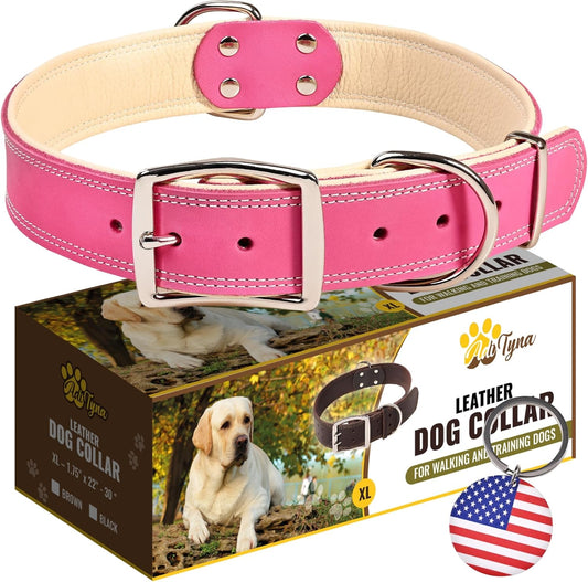 Heavy-Duty Pink Leather Dog Collar for Extra-Large Dogs - Soft Padded for Comfort - Big Girl Dog Collar for Walking, Training, and Hiking