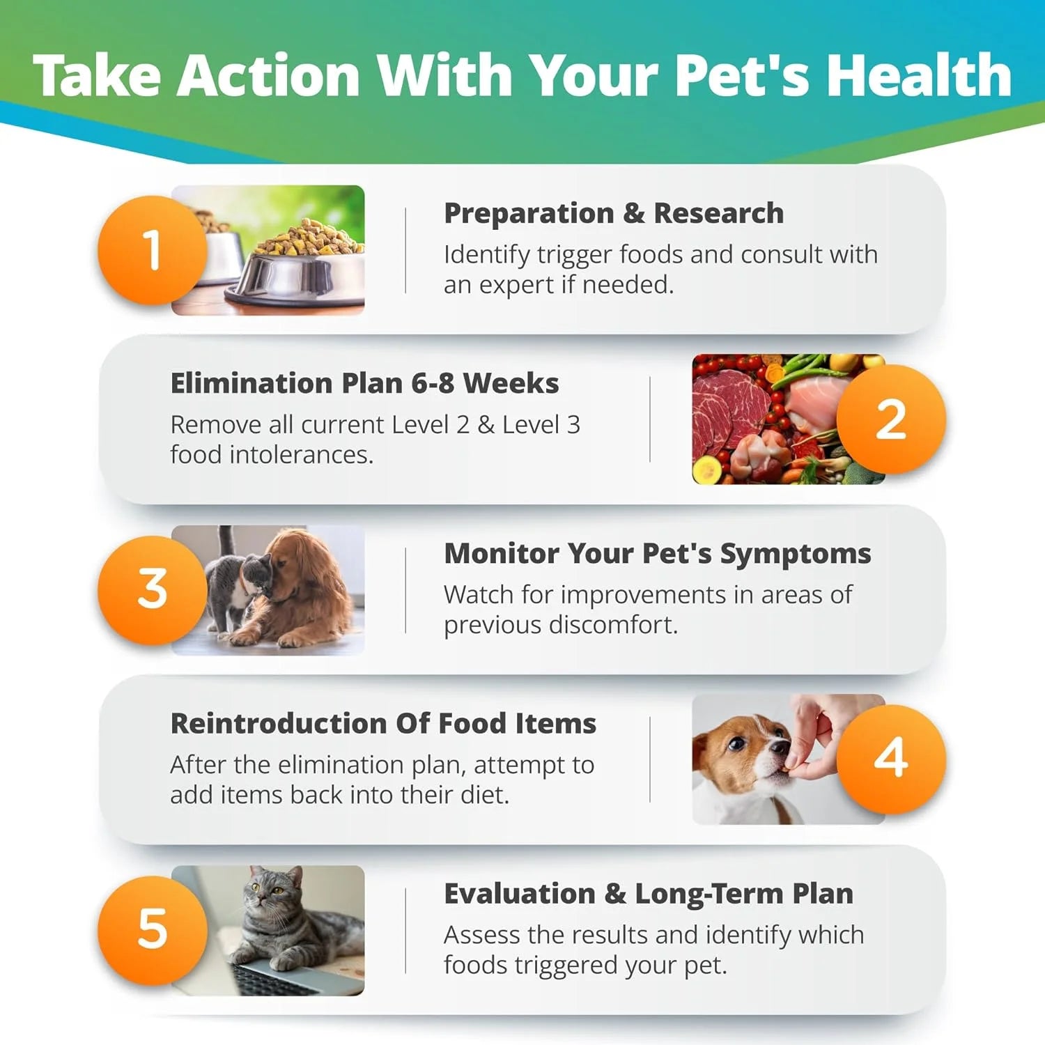 Pet Food Intolerance Test, at Home Sensitivity Test for Dogs & Cats, 289 Items, Hair Analysis, Accurate for All Ages and Breed, Results in 5 Days - Protein, Grain, Preservatives
