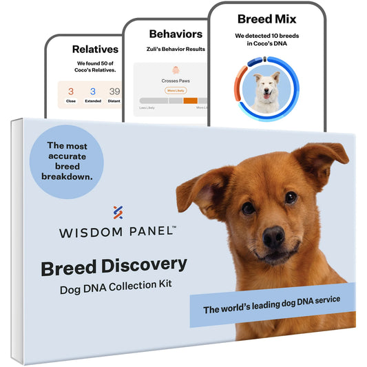 Breed Discovery, Breed Identification, Dog DNA Test Kit