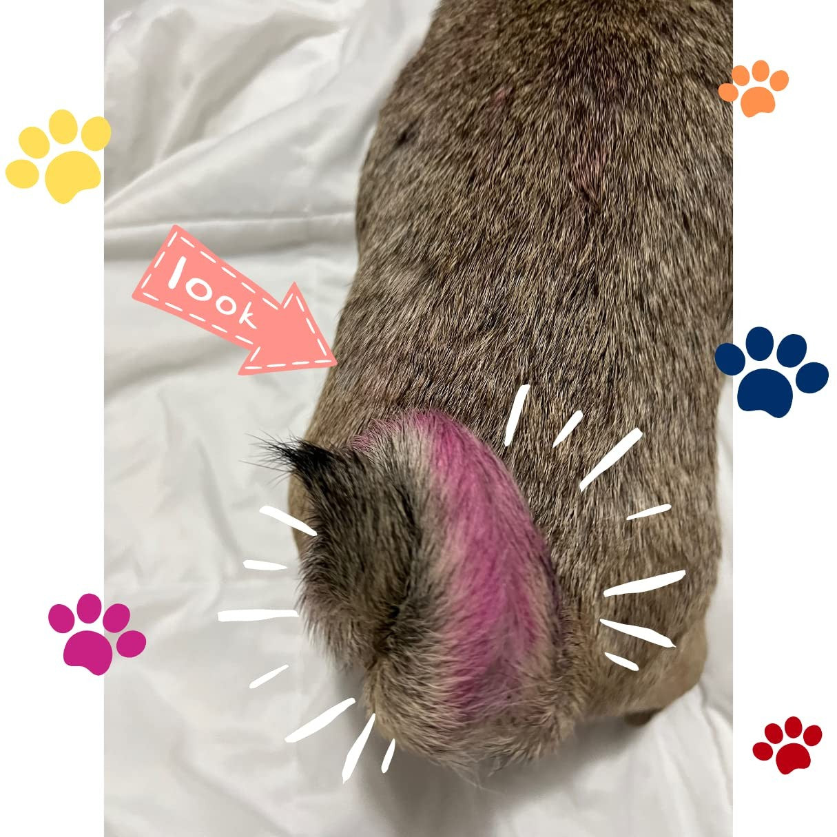 10 Colors Washable Pet Hair Dye Fur Paint for Dog Cat Marking Painting